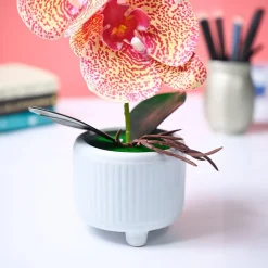 Market99 Pink Artificial Orchid Flower With Cyan Pot