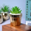Modern Elegance - Striped Ceramic Pot with Artificial Plant