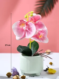 Orchid Flowers With Lightgreen Pot