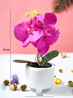 Orchid Flowers With White Pot