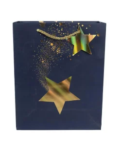Paper, Gift Bag Pack Of 3, Printed Star, Glitter : Finish, Multicolor