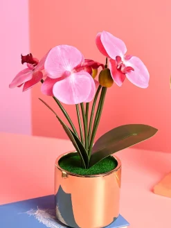 Pink Orchid Flowers With Golden Pot - Indoor Office Plants