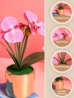 Pink Orchid Flowers With Golden Pot - Indoor Office Plants