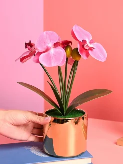 Pink Orchid Flowers With Golden Pot - Indoor Office Plants