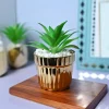 Sleek & Sophisticated - Stripe Design Faux Plant with Ceramic Pot