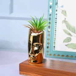 Tranquil Expression - Face Design Ceramic Pot with Artificial Plant