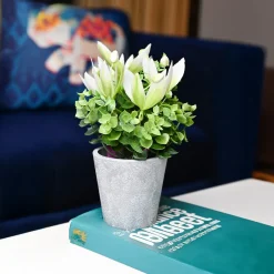 White & Green Artificial Flower with Pot - Cylindrical Shape