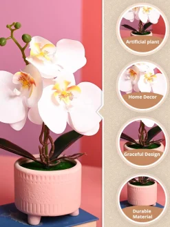 White Orchid Flowers With Pink Pot -Desktop Plants