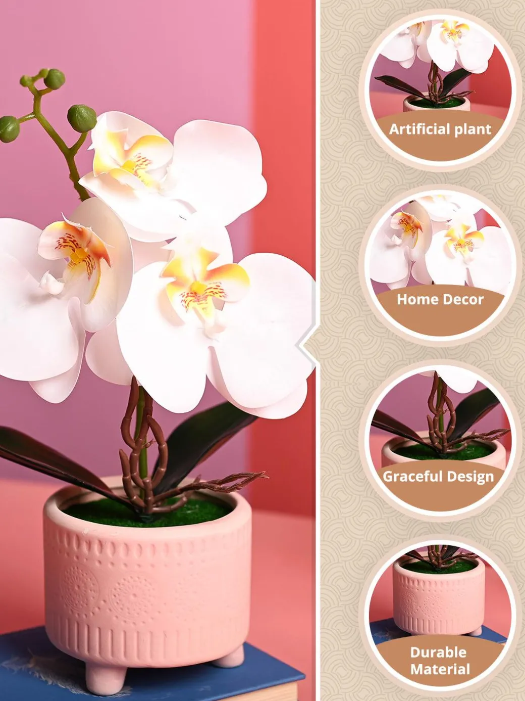 White Orchid Flowers With Pink Pot -Desktop Plants