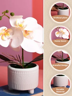 White Orchid Flowers With Green Pot - Table Top Plants