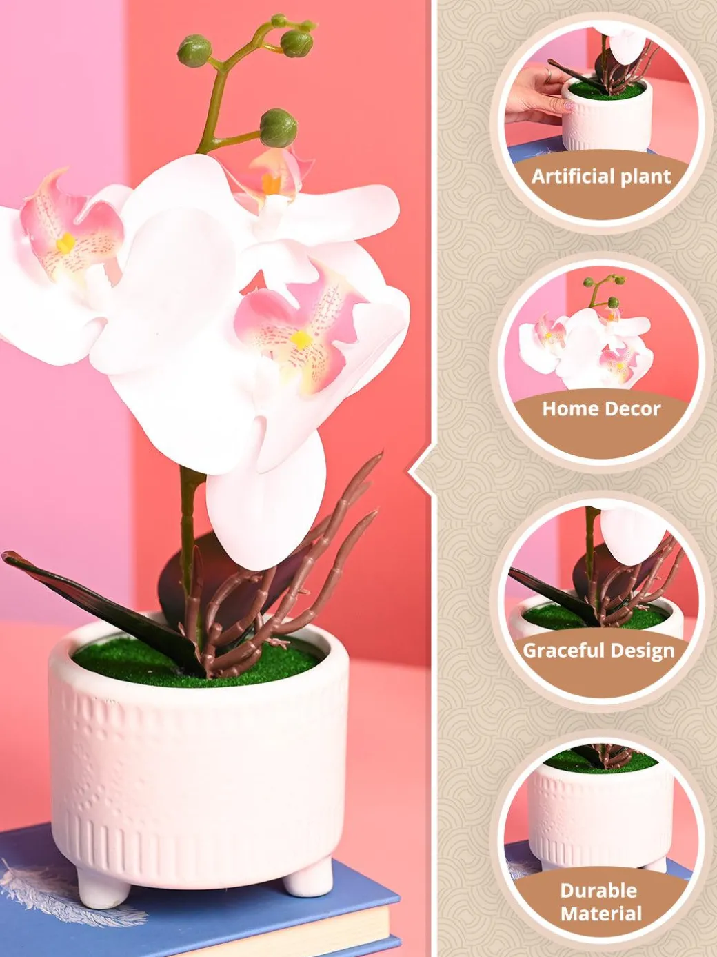 White Orchid Flowers With White Pot - Indoor Office Plants