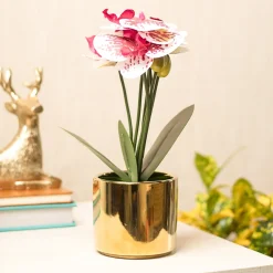 White Orchid With Golden Pot