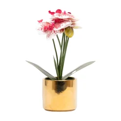 White Orchid With Golden Pot