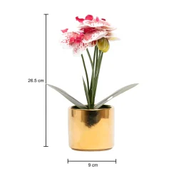 White Orchid With Golden Pot