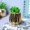 Zigzag Beauty - Glossy Ceramic Pot with Artificial Plant